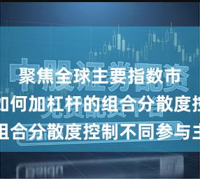 聚焦全球主要指数市场股票如何加杠杆的组合分散度控制不同参与主