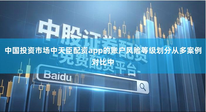 中国投资市场中天臣配资app的账户风险等级划分从多案例对比中