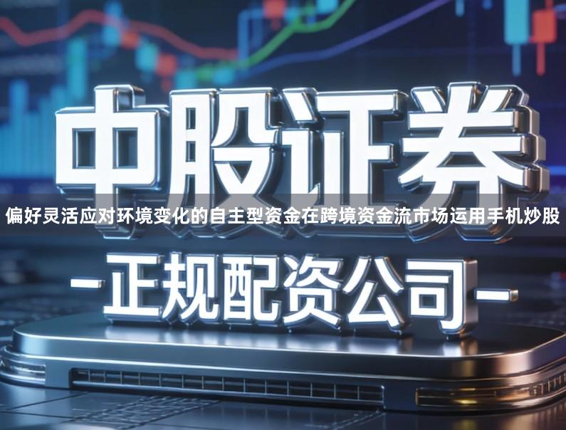 偏好灵活应对环境变化的自主型资金在跨境资金流市场运用手机炒股